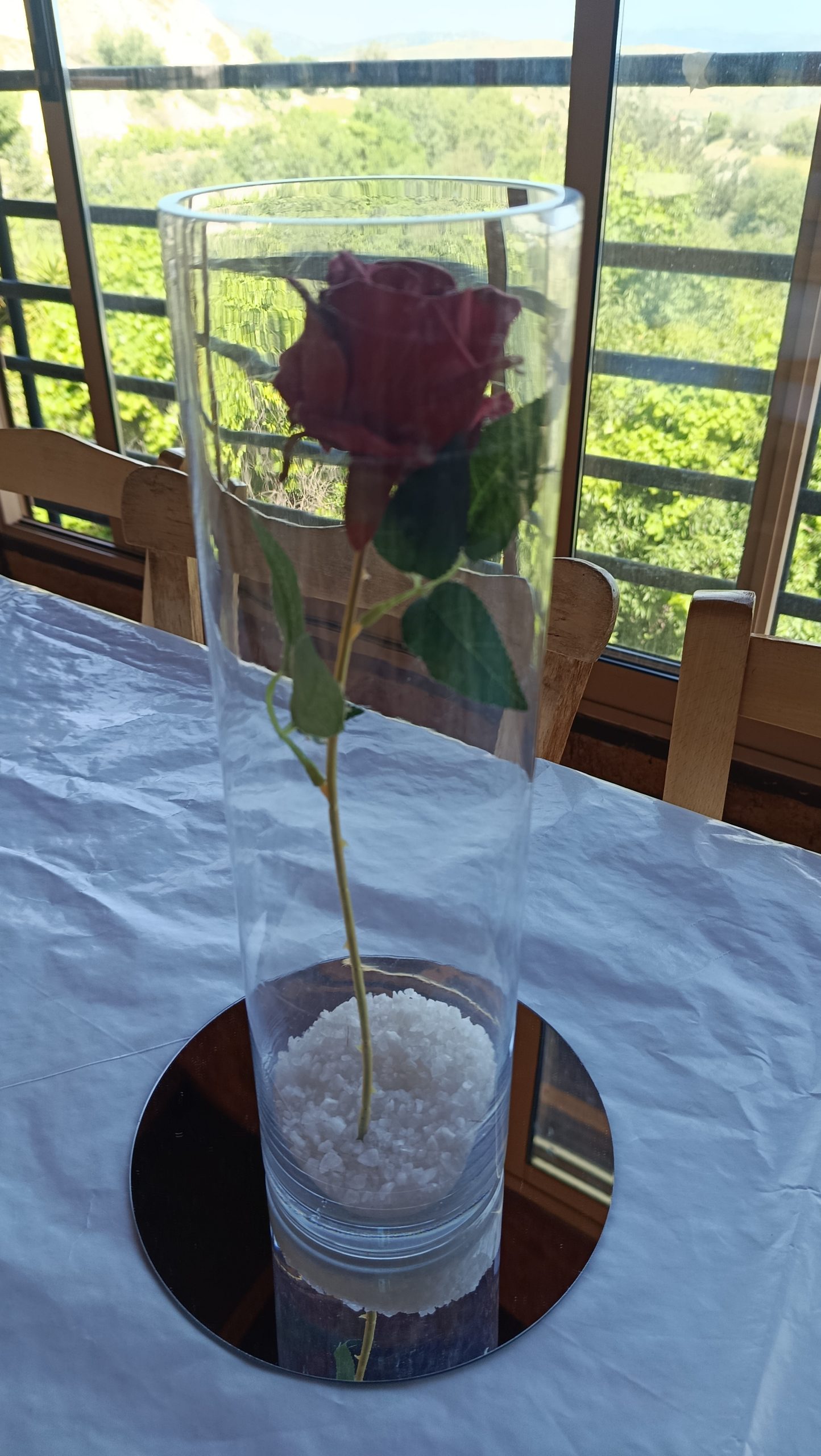 IMG_20260509_150903